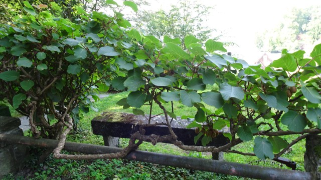 0A31F306-CF1A-4D46-94BB-992F0F897508