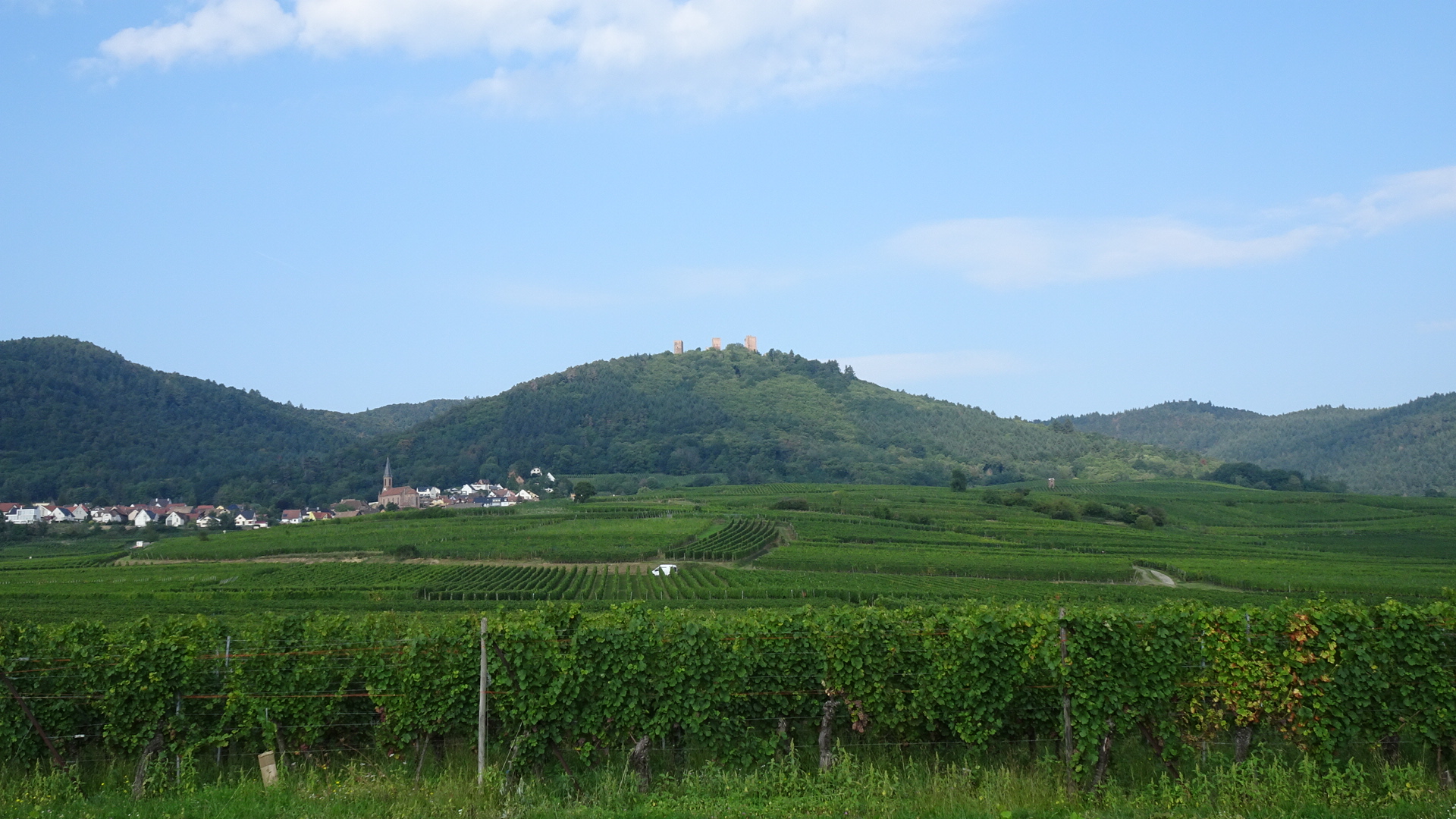 0E97FAF2-F6FD-40AB-BB66-8B0E97405B85