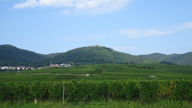 0E97FAF2-F6FD-40AB-BB66-8B0E97405B85