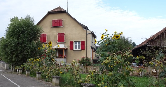 137362D1-CCAE-45C2-88D7-0EF257804D1D