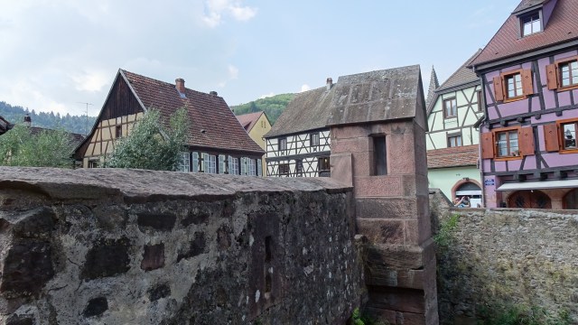 28D256E7-8759-4055-9B77-3F8554C16837