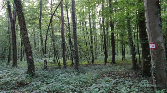 28E7FFAA-7A34-4105-B731-1B3A30D42965