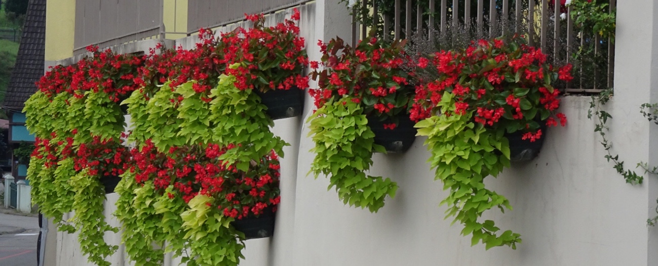 2C567661-7A25-47B7-B4A6-EEC8C59B585A