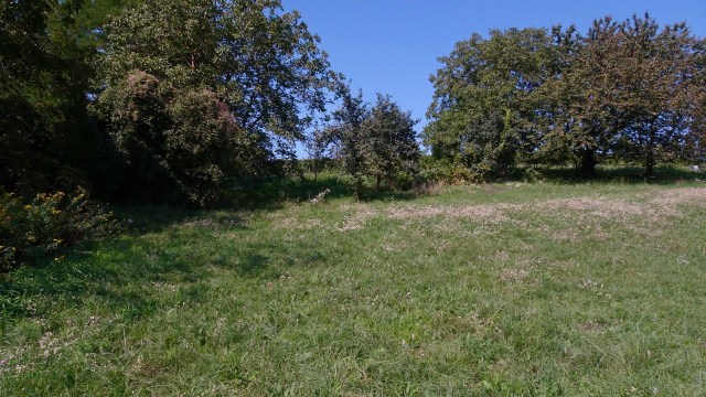 32A251FA-B91F-45FB-8A0C-8254E5DE9282