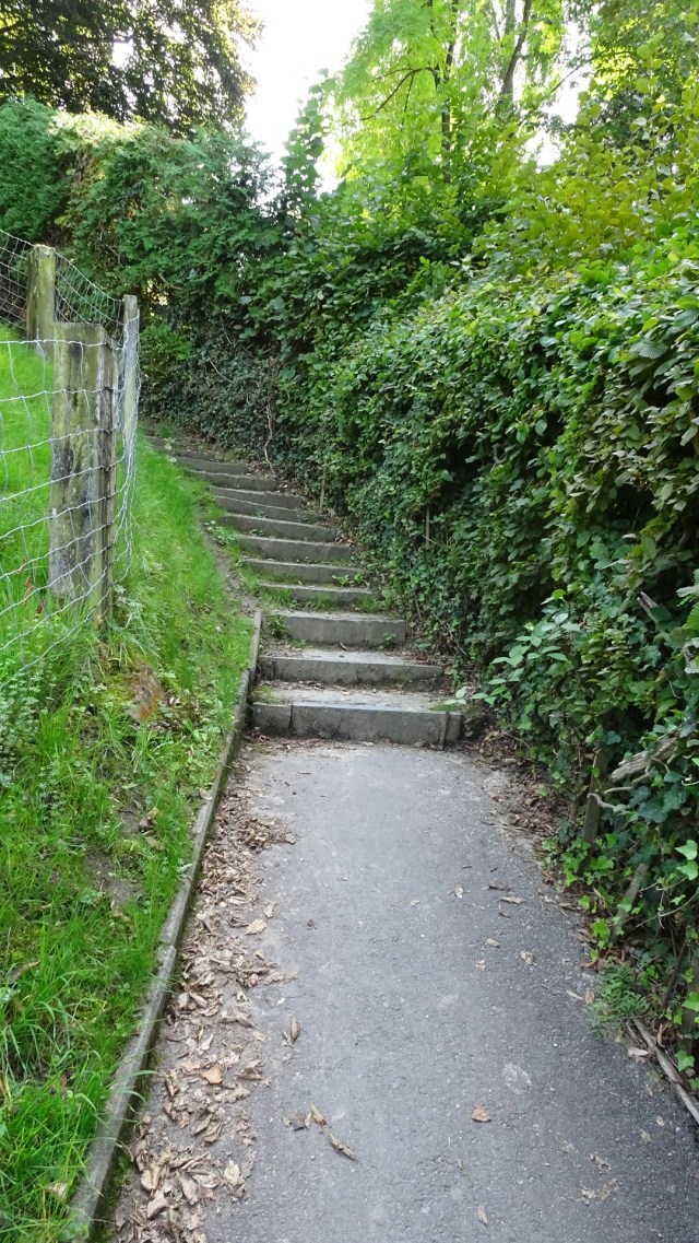 38B0A8C8-AFDD-4BB9-A679-0FAD6DFE3754