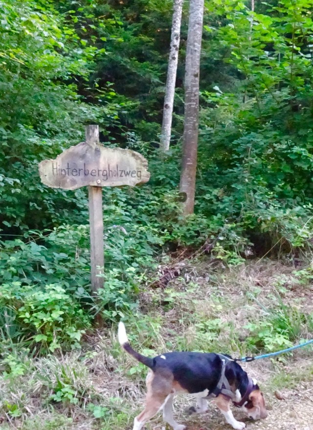 3C28073C-6A47-4026-BB6B-4B83516AAF5D