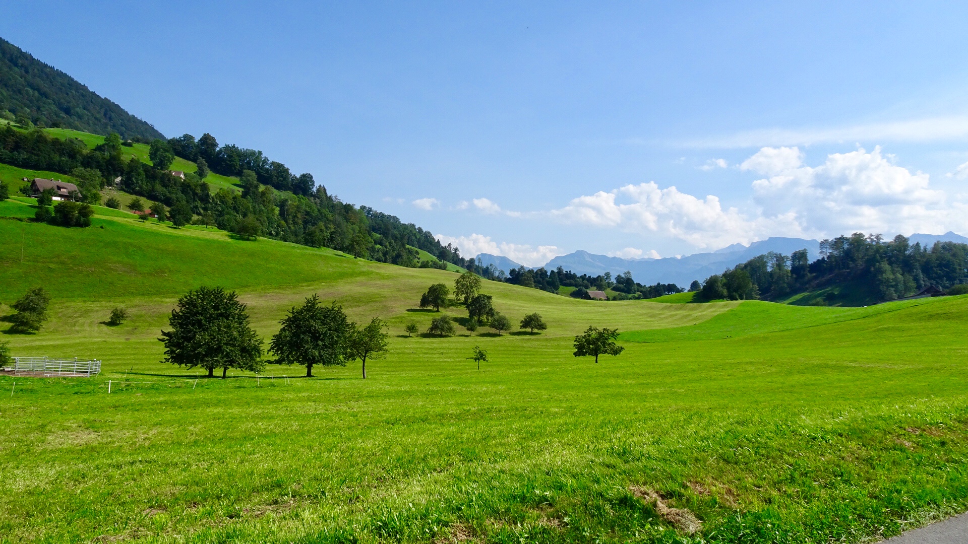 44A1AEE2-C2ED-4BBE-99B9-643CDA645911