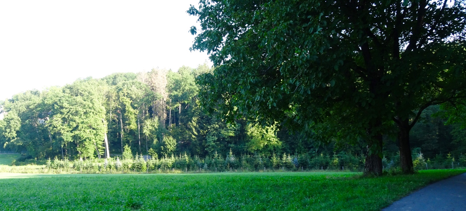 47E5C9F8-0D57-4C8F-91A8-0A7AF99DDE24