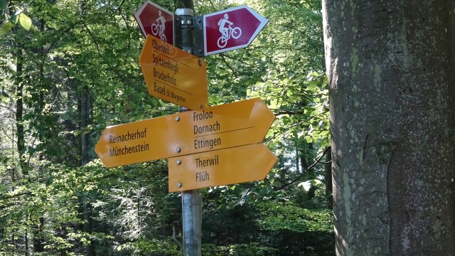 48B8B1B7-6A21-4E92-A737-A8A164CF039D