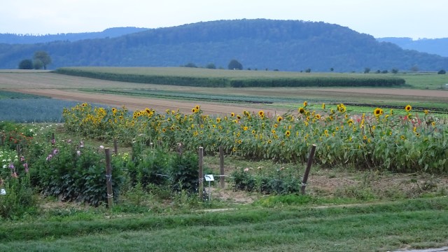 4C54544E-B528-4E8E-A890-18F9B271F6D3