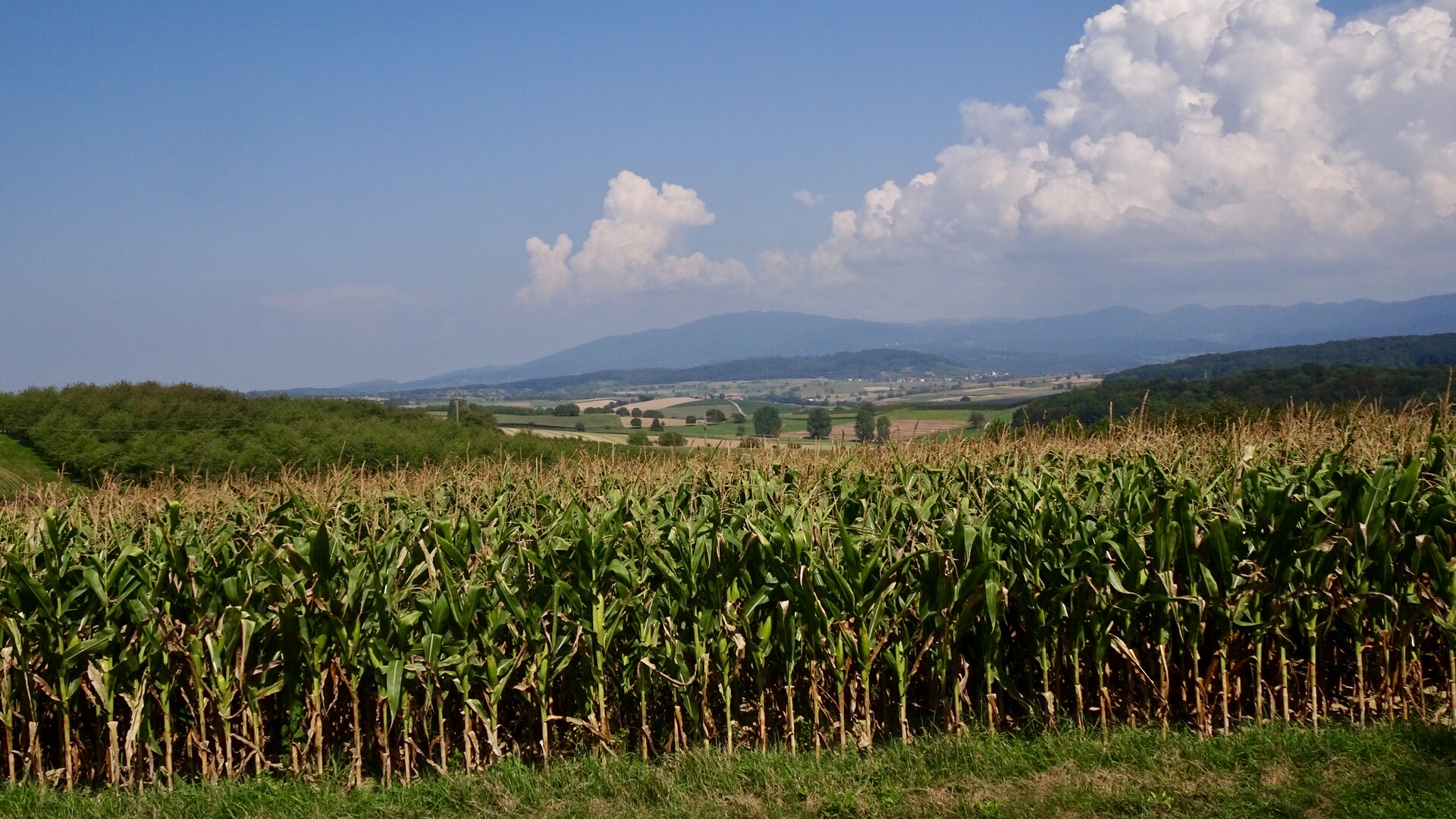 4D4754BB-DED1-4046-A7D7-5B7FB237A8F7