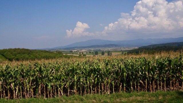 4D4754BB-DED1-4046-A7D7-5B7FB237A8F7