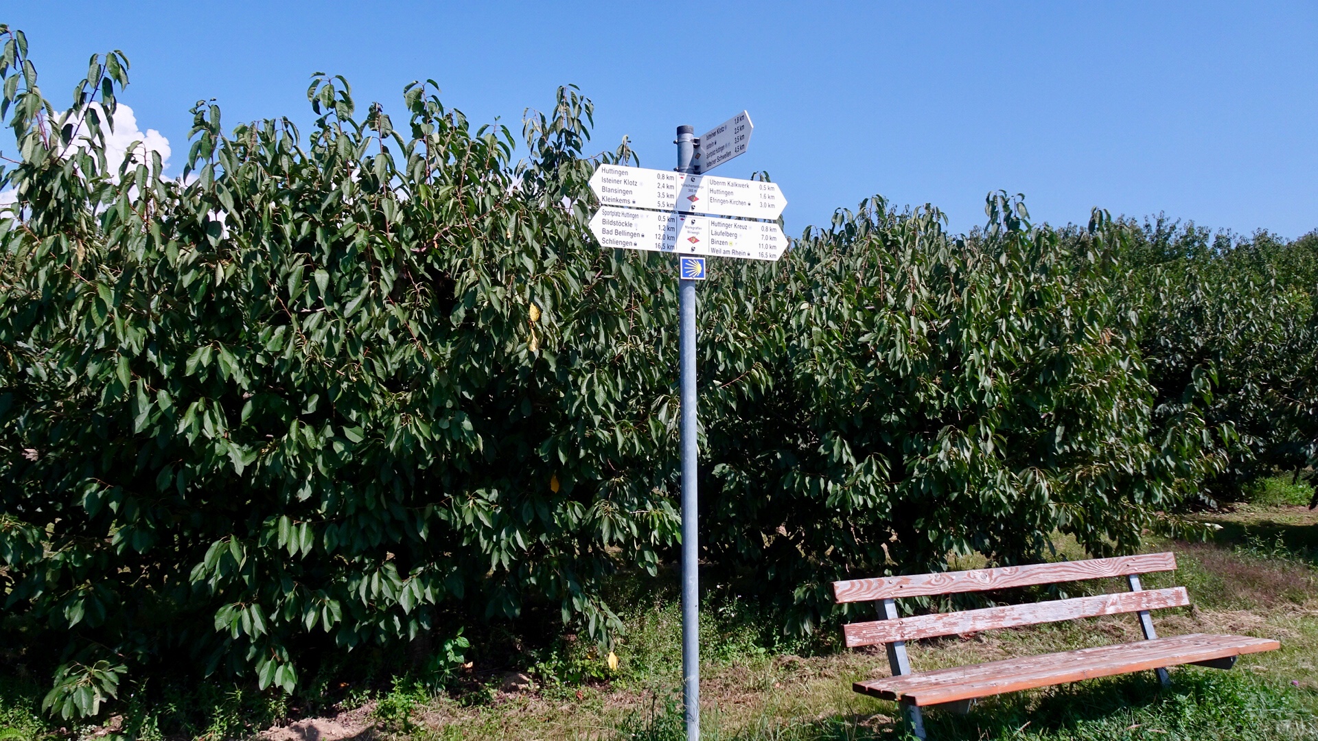 51E39ED9-171F-419E-A01B-1D0436A66620