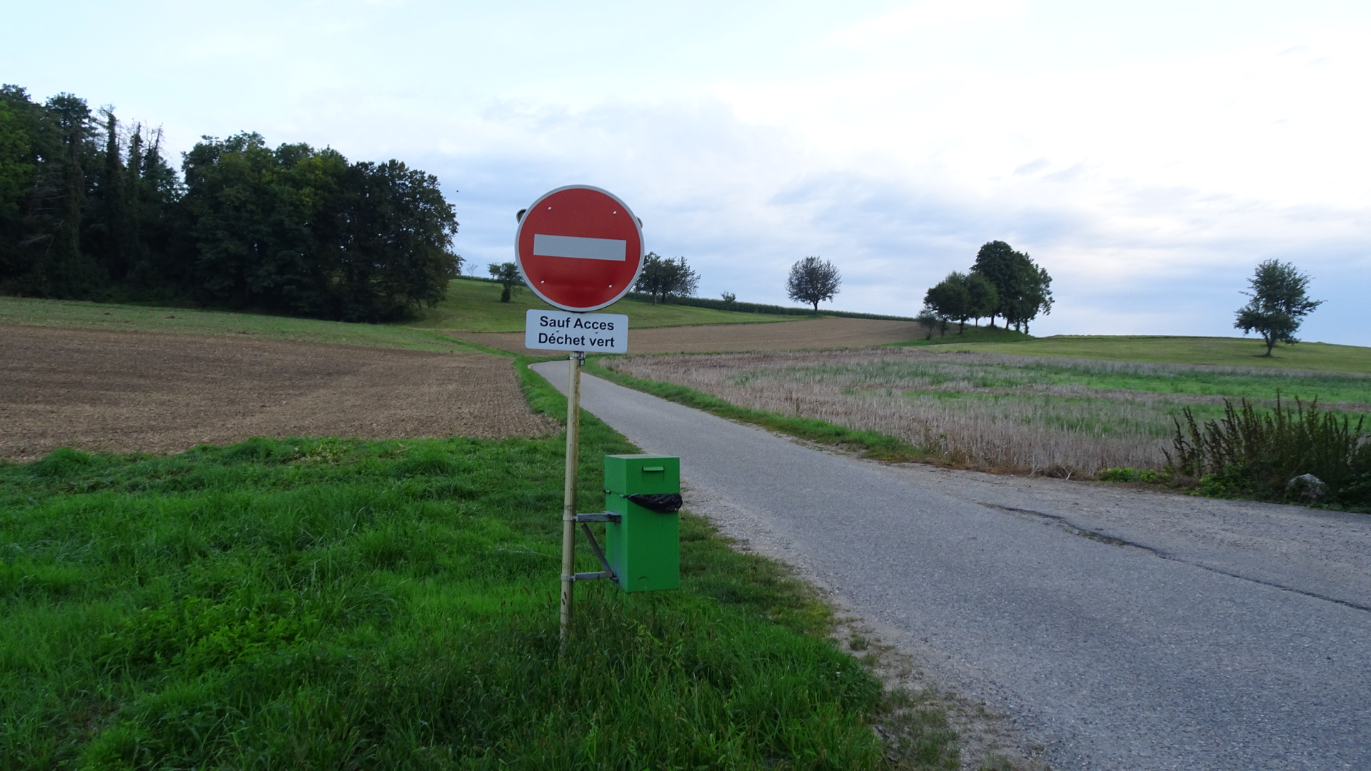 550406B7-9705-48BD-B7D3-11A77BE68797