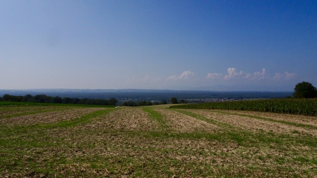 5887EB55-31B3-4A84-8432-C62F3AF66C6A