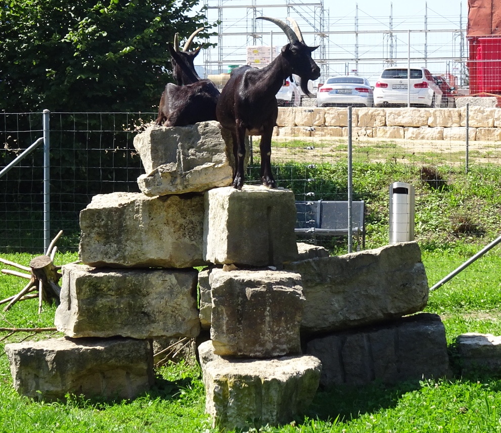 5E6EA2D5-8DBC-4433-88CD-41A55FD95844