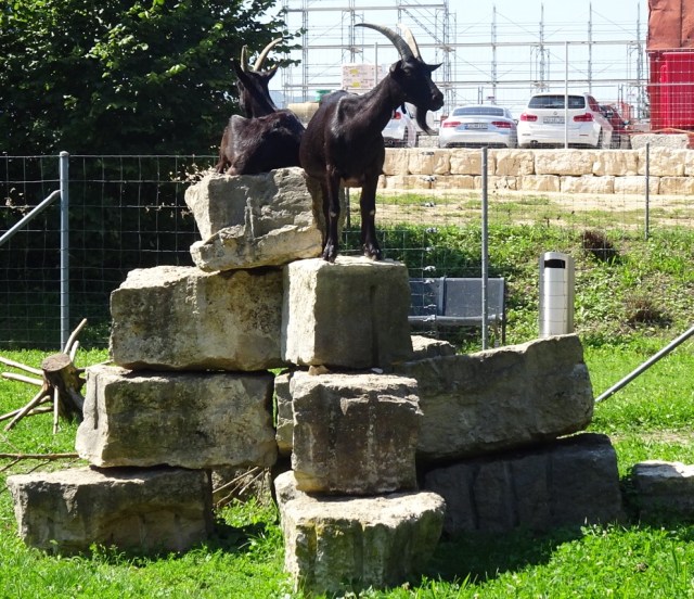 5E6EA2D5-8DBC-4433-88CD-41A55FD95844