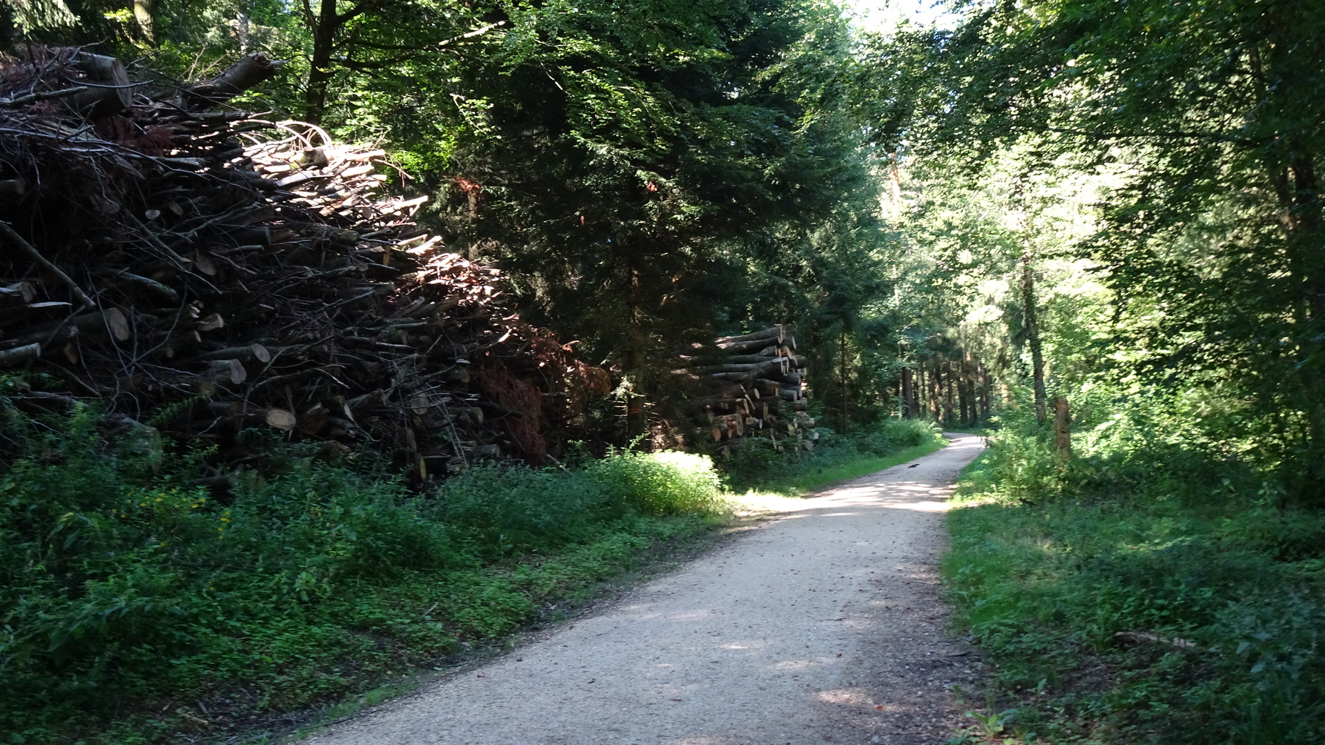 64D00D7A-9253-414A-961B-4264101AF585