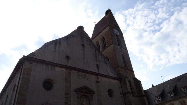 682034DE-3C6A-4D2D-941A-8B7F492077A5