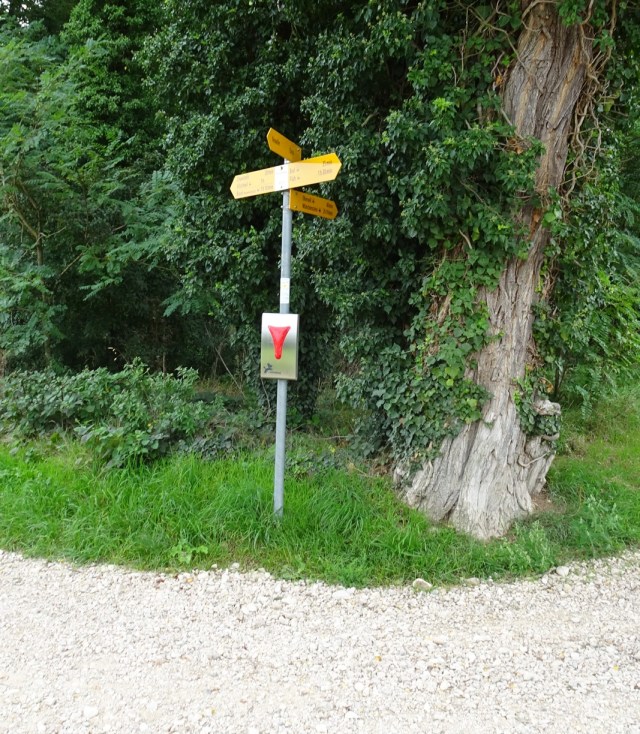 6B0C8B22-0A05-4D8F-A5D9-258F69E74D7B