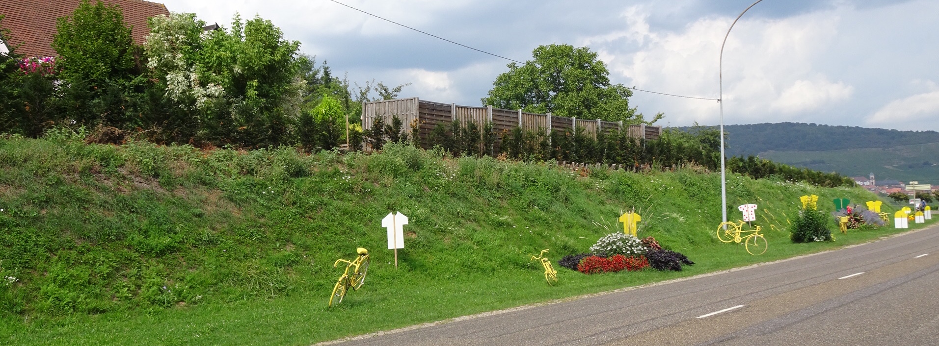 6CDE55CE-AC71-41B3-B749-562F0237DBA4