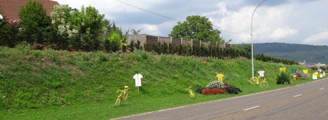 6CDE55CE-AC71-41B3-B749-562F0237DBA4