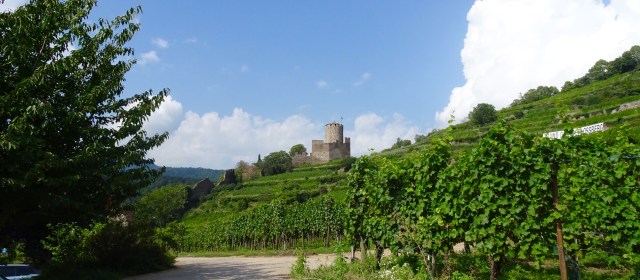 733FDD49-F540-4DCC-9EA3-D20CAA43C4DC