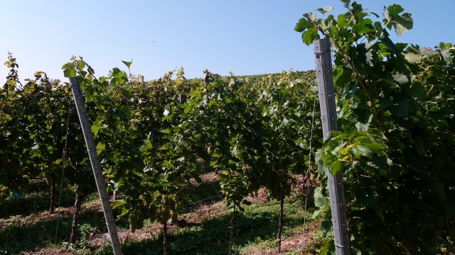 7556DB02-91FF-4B93-B23C-750BC31BEBBE