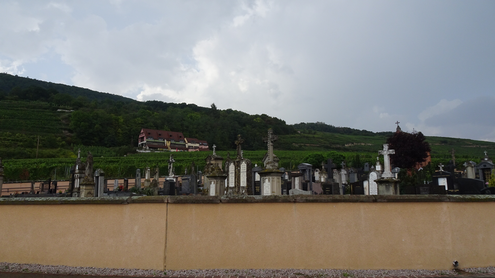 78A23B70-D3A9-4E11-B40F-1CDED49BF1D4