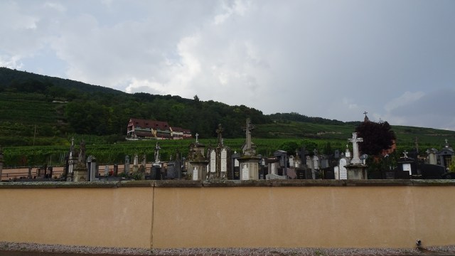 78A23B70-D3A9-4E11-B40F-1CDED49BF1D4