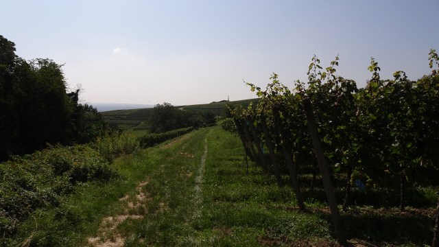 79518A0D-2015-47F0-B54C-292860298A7A