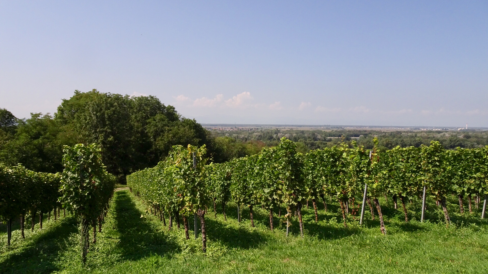 79BB6DA6-6E12-4C73-B9E0-B533B359D70D