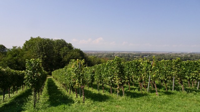 79BB6DA6-6E12-4C73-B9E0-B533B359D70D