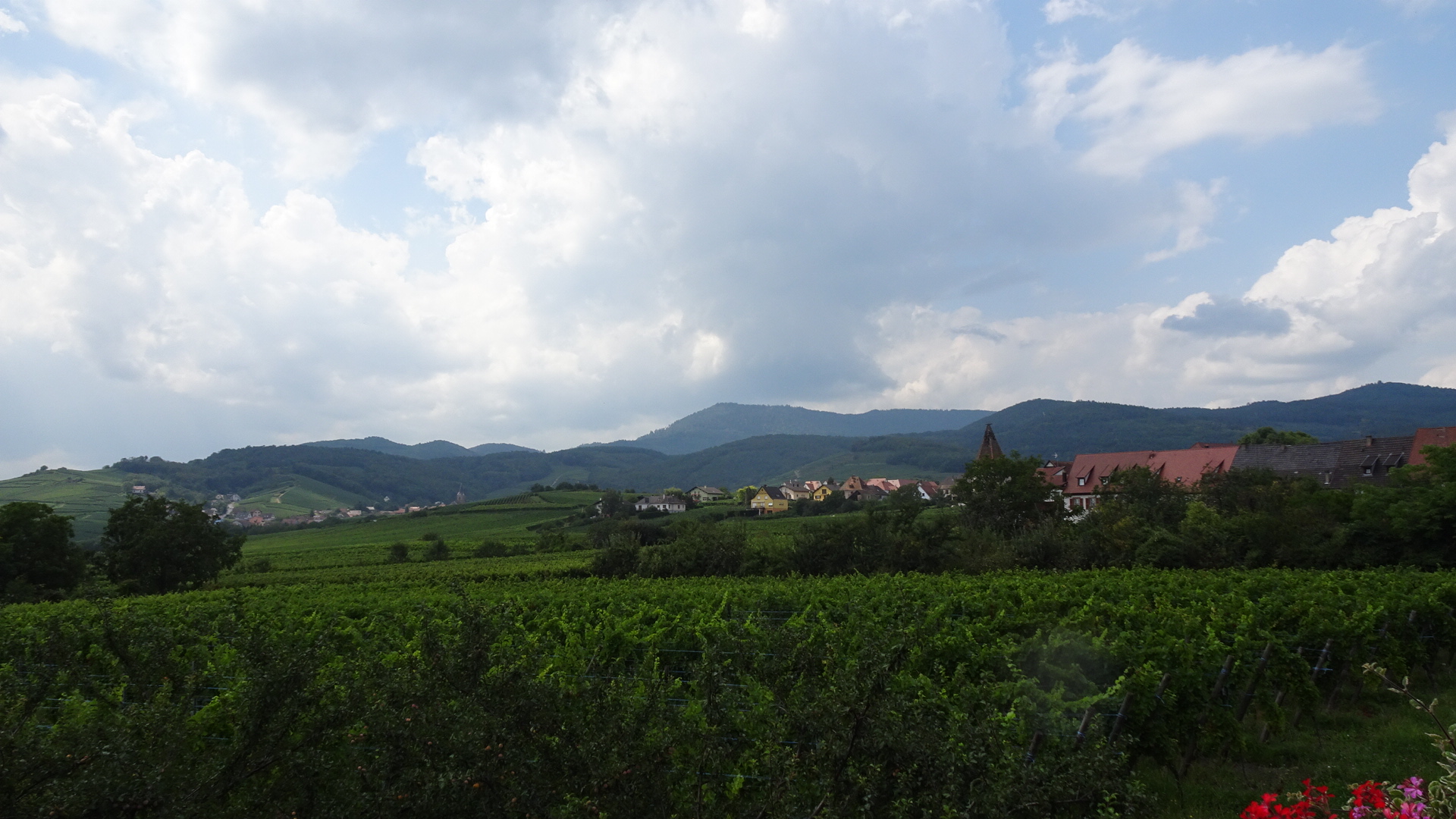 845F47D5-9042-496F-BF1E-7A0EE502D2C3