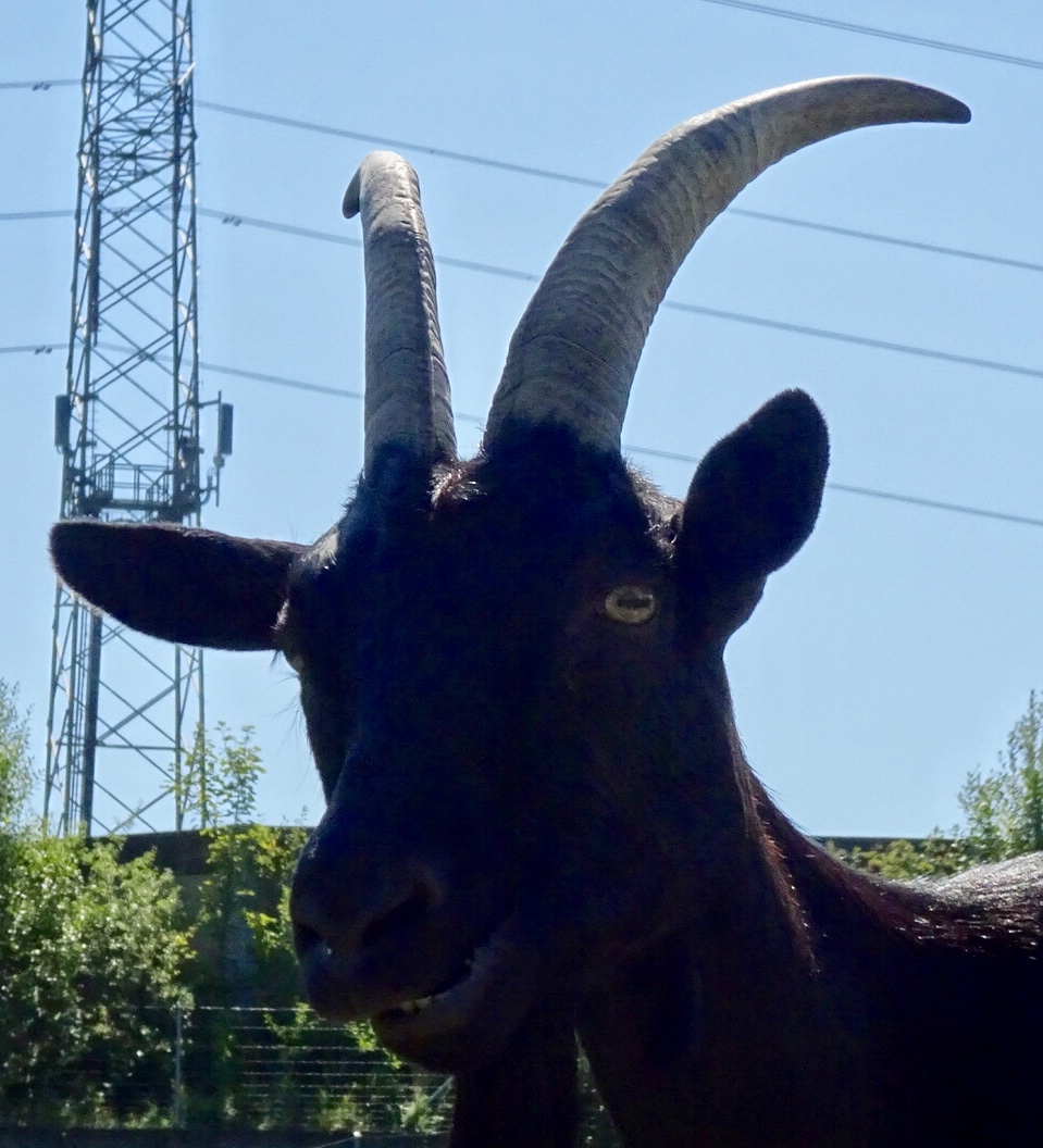 8B6E5DE8-C797-4393-A565-63255790C72B