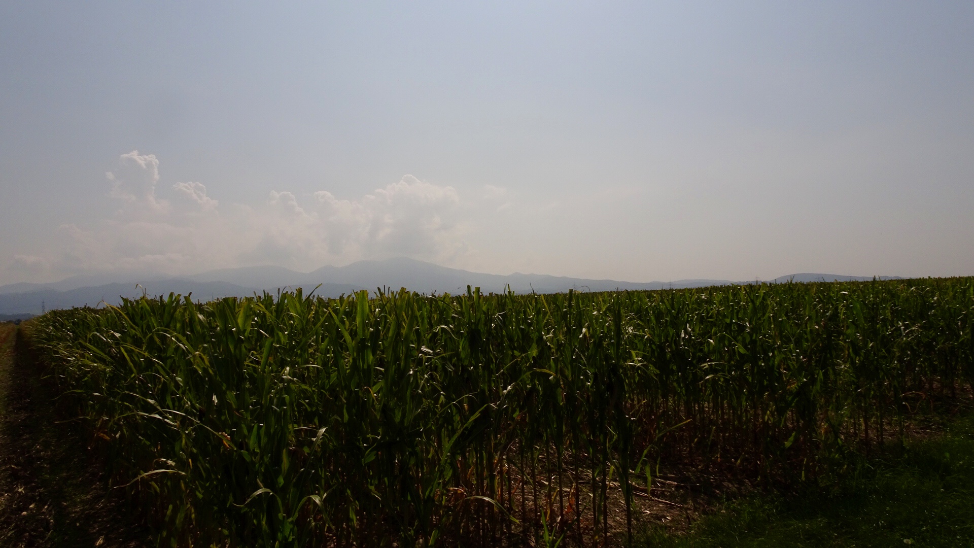 94EB4709-7BFC-435F-A24D-59D60437E90B