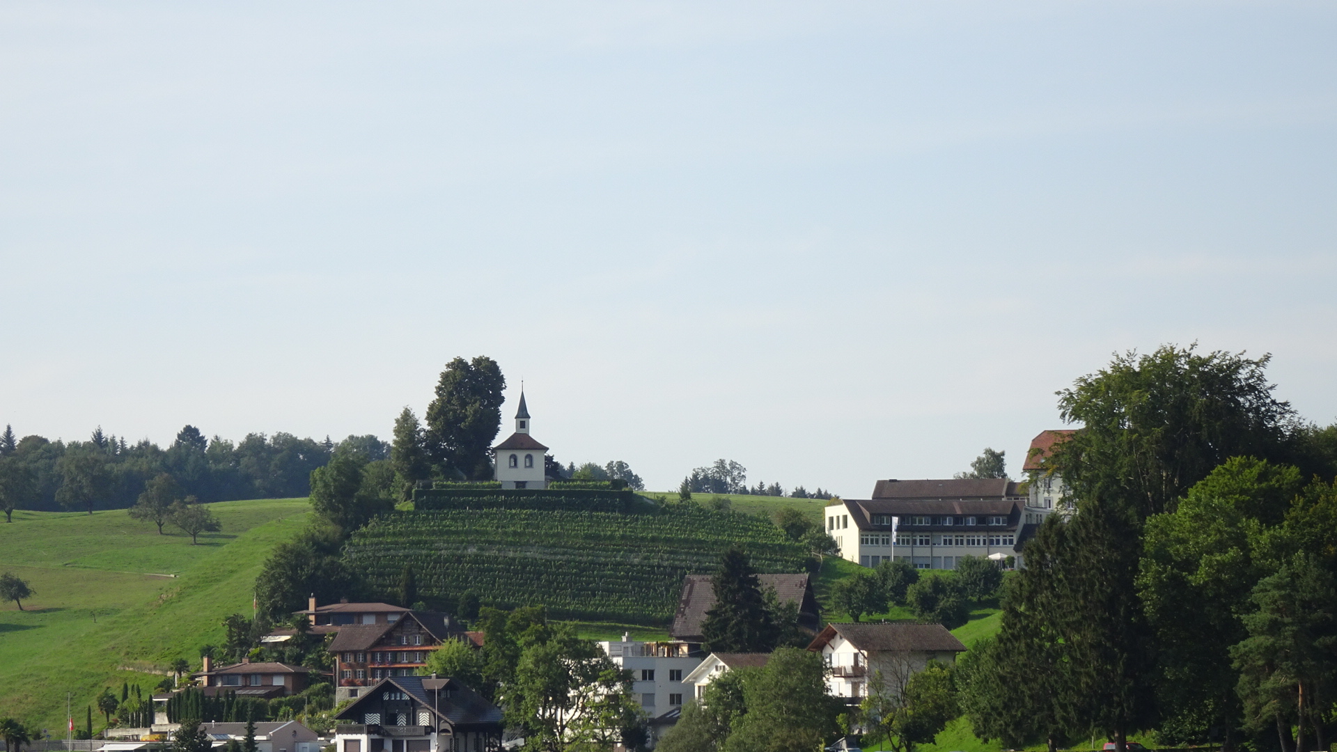 9E1135AC-D031-4105-9B37-ED84AC46E468