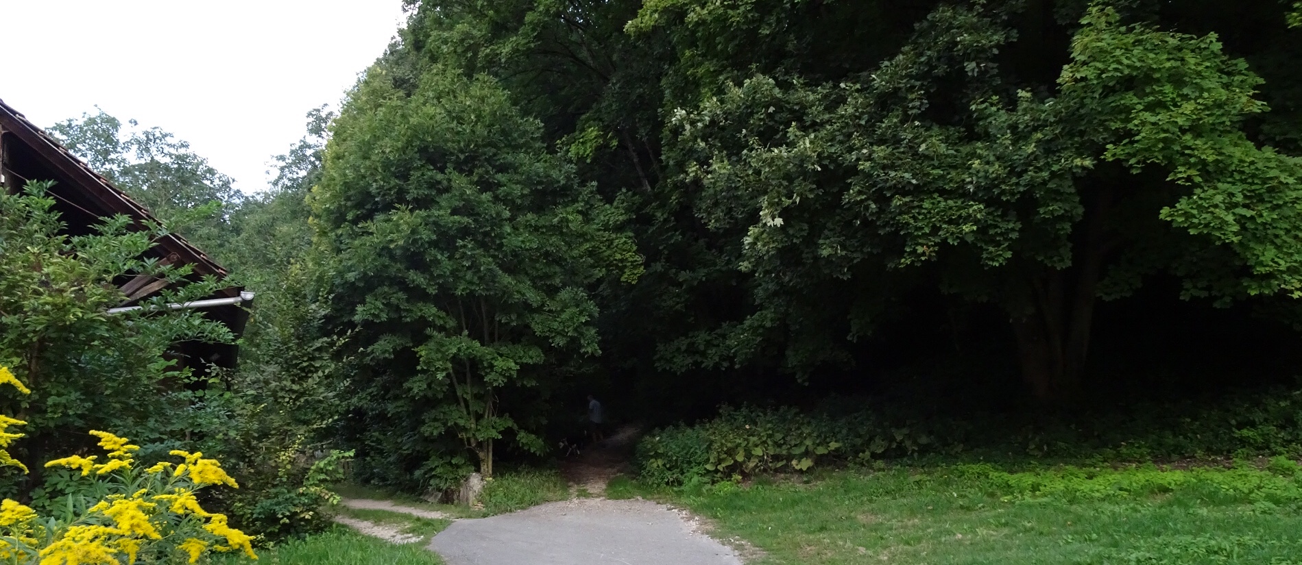 A57CA9A6-0238-4CAA-9BED-9C0794E65F82