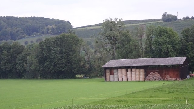 ACD36C95-9D18-4636-A16E-C56C15BB0BD3