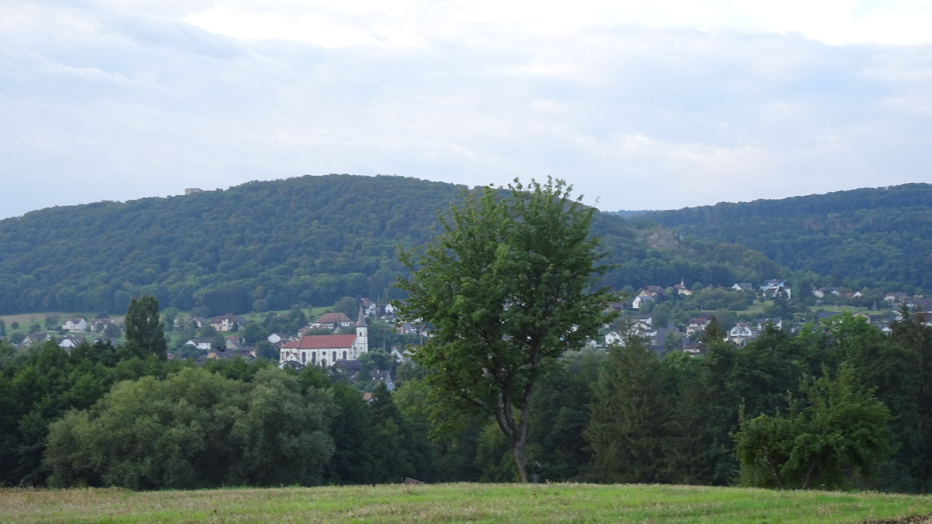 B494005B-0307-45A5-9B62-861BD752270B