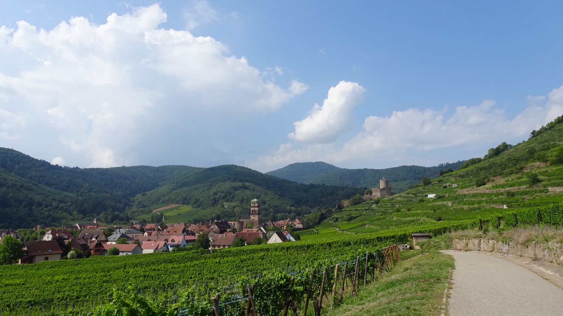 B85EE631-9014-4941-8BC3-2FD9C2E01856