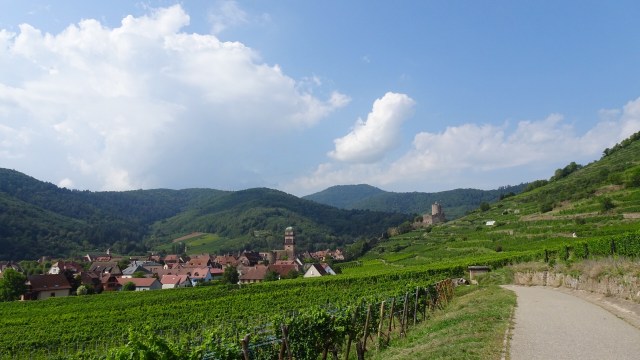 B85EE631-9014-4941-8BC3-2FD9C2E01856