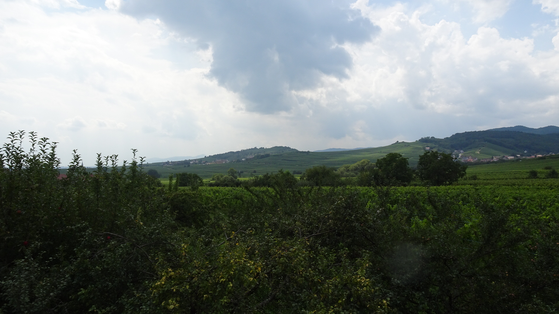 DBF9CADB-A9B0-4EE8-8B05-2B4F48328EE7