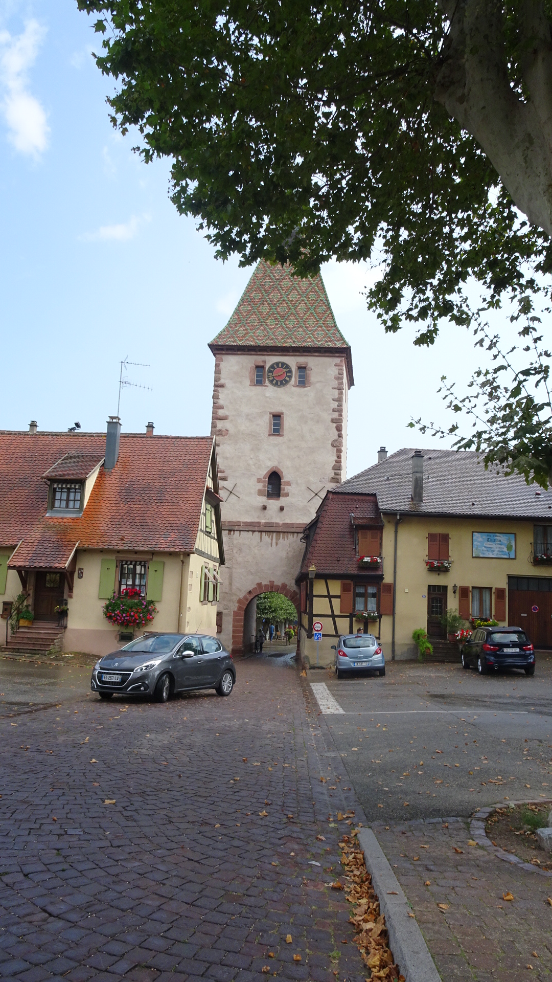 E021CC89-7BED-49B7-ABBF-3B8597296FF7