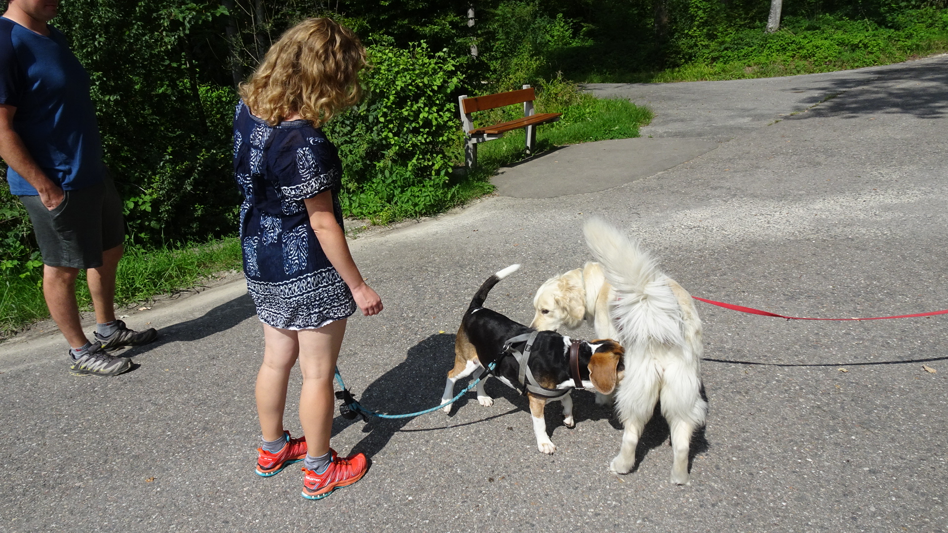 E48D987C-B751-4D71-89B0-7520DB3BCE93