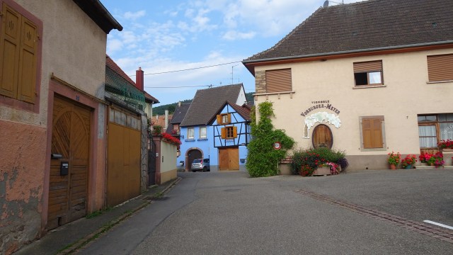 E69065D9-512A-48F2-A9D7-7B44D2256AE0