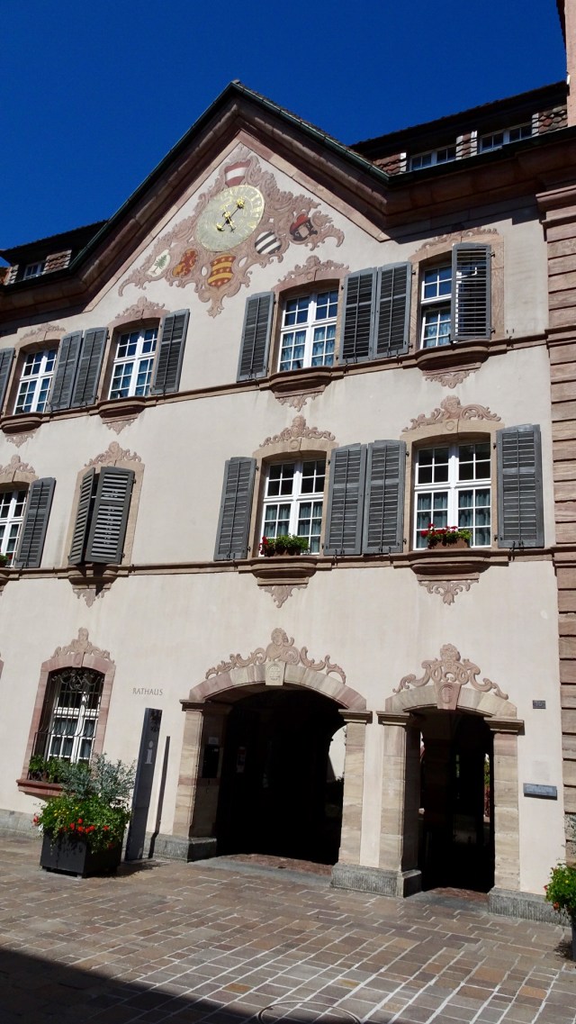 E9E30A47-2050-4A0C-9469-6F5D1117A0EE