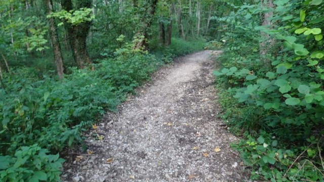 F5A25132-3215-4DB1-91FB-81F45299121D