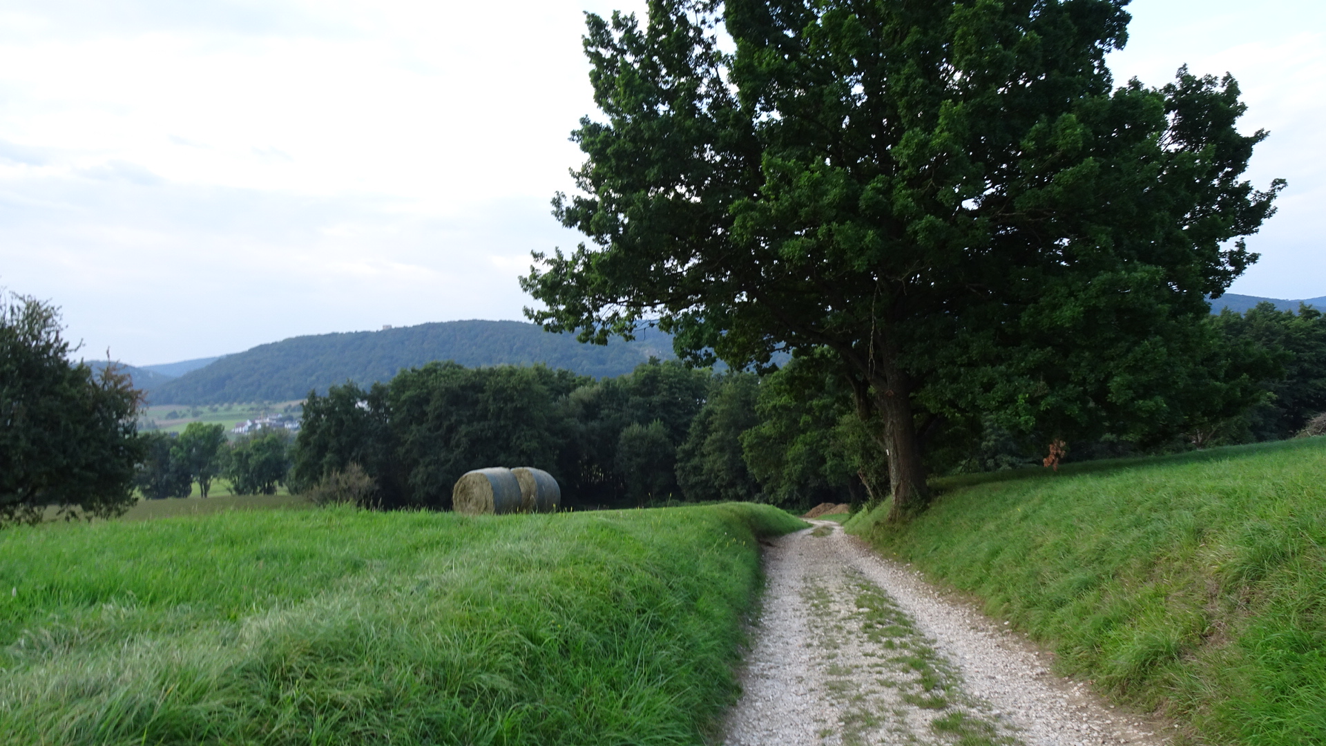 F6B06B12-499A-4BDA-B17A-E053DF4C8C19