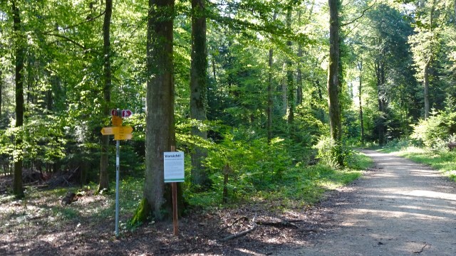 F861D0AC-1672-44D3-BF5F-4ACEFBBF4126